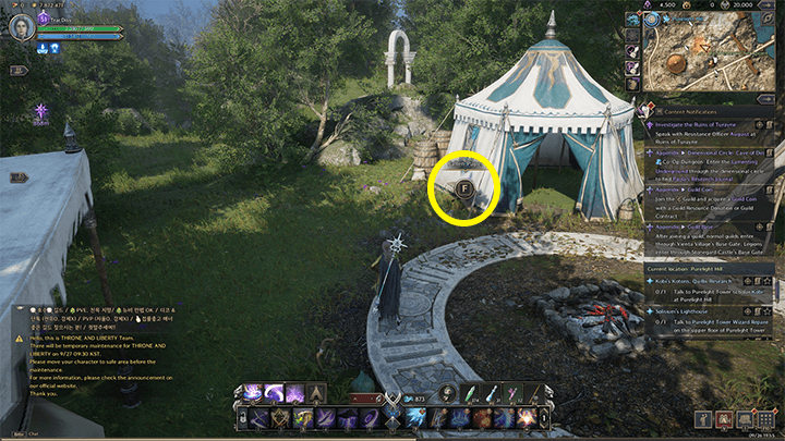 Throne and Liberty - Brandon