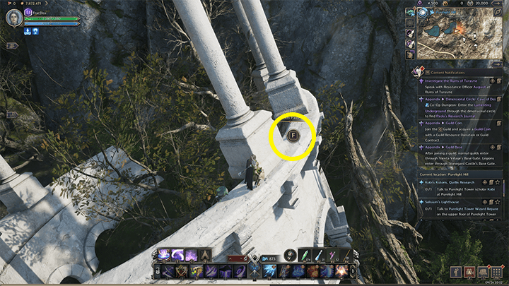 Throne and Liberty - Brandon