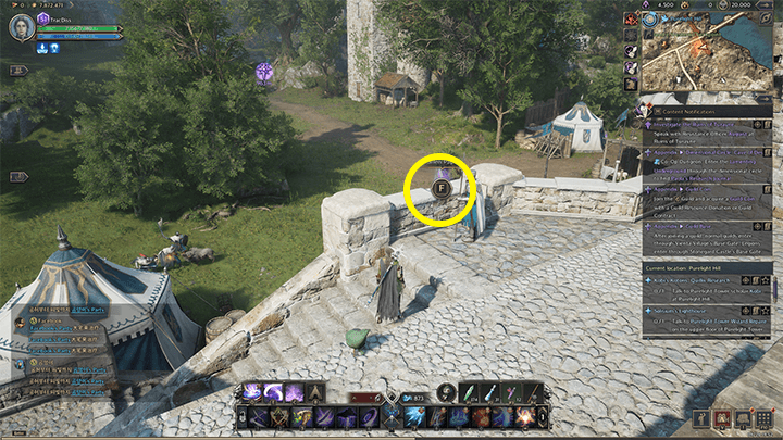 Throne and Liberty - Brandon