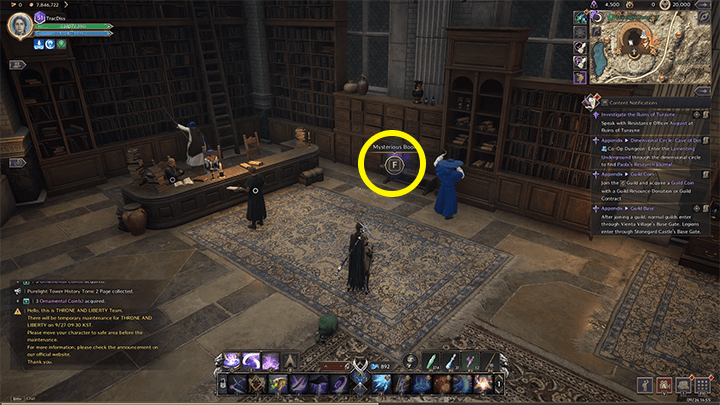 Throne and Liberty - Purelight Tower History Tome 4