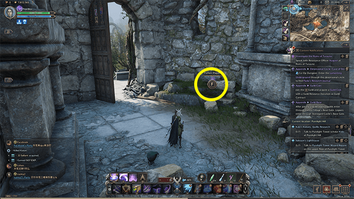 Throne and Liberty - Brandon