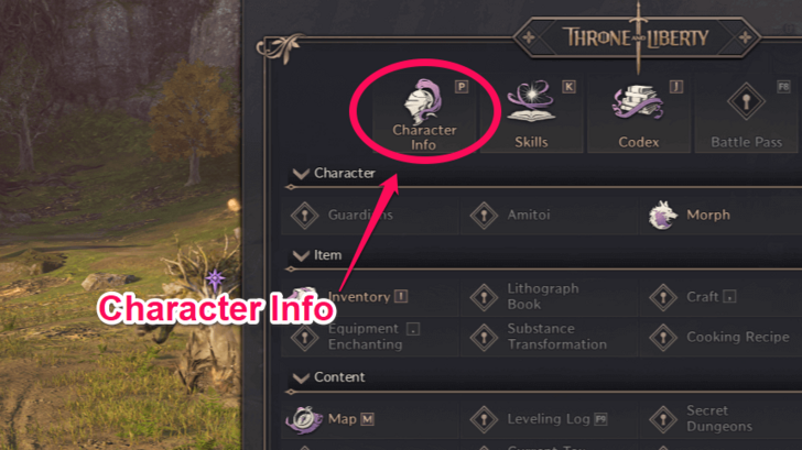 Character Info Skitch