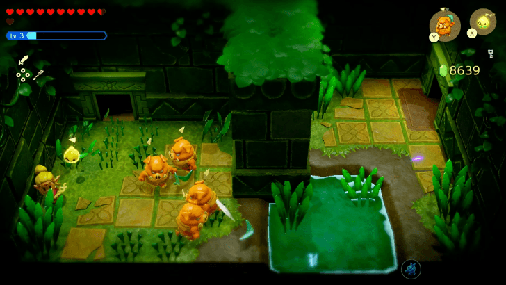 hidden door behind the tall grass