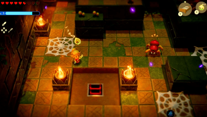 ladder beneath the web