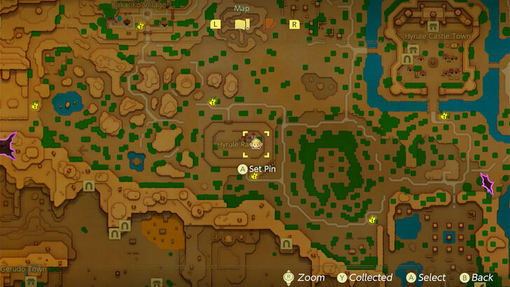 Heart Piece (Flag Race) map location