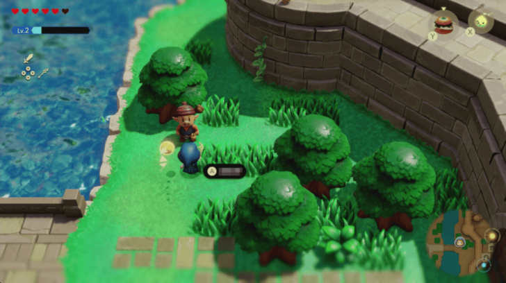 Acorn Gathering Hyrule Castle