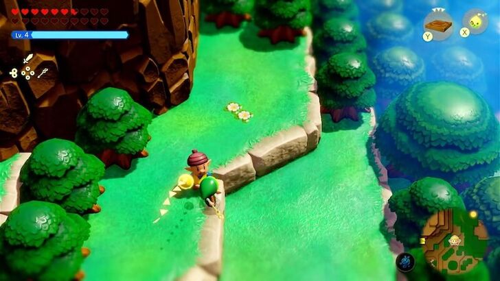 Acorn Gathering Kakariko Village