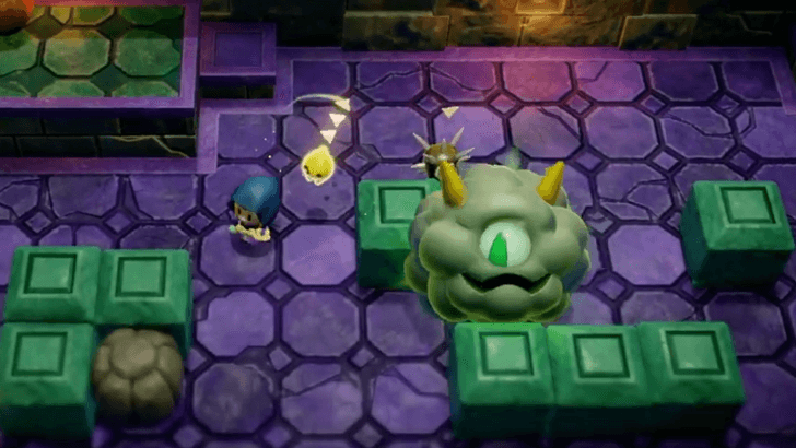 Place Sea Urchins Along Smog