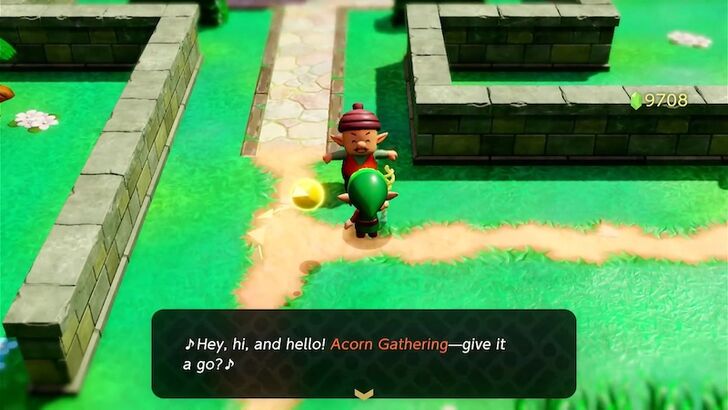 Acorn Gathering Acorn Man