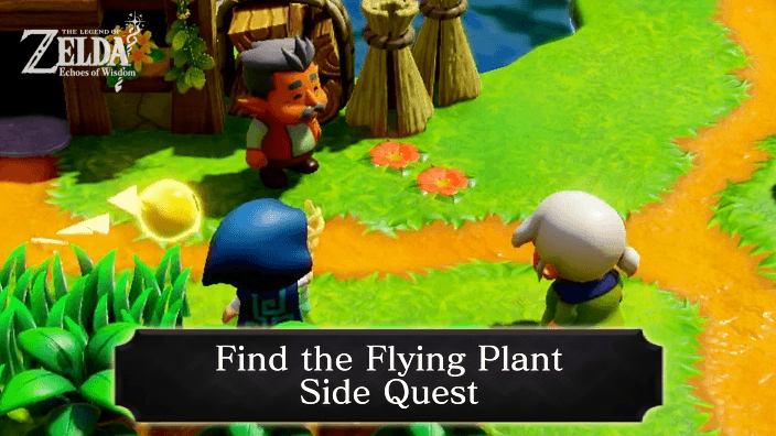 Echoes of Wisdom Find the Flying Plant