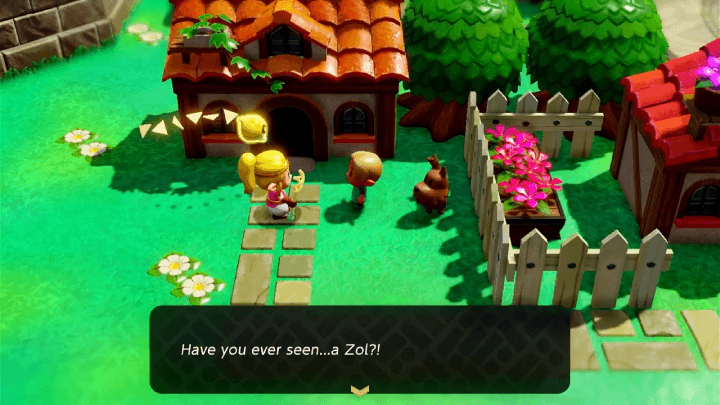 Talk to the Child Located Southwest of Hyrule Castle Town