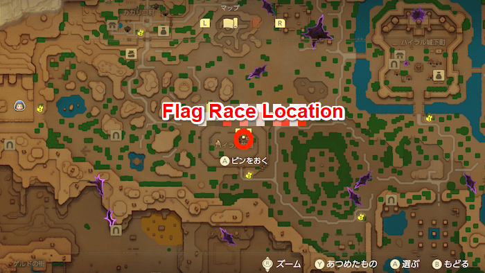 Flag Race Location