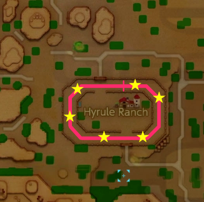 Flag Race - Short Course