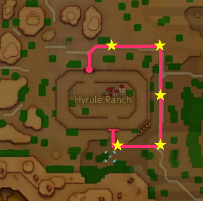 Flag Race - Medium Course