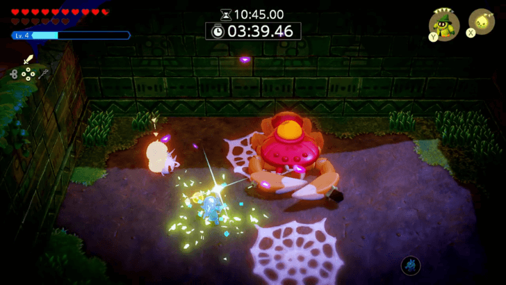 Use Swordfighter Form when Gohma is down