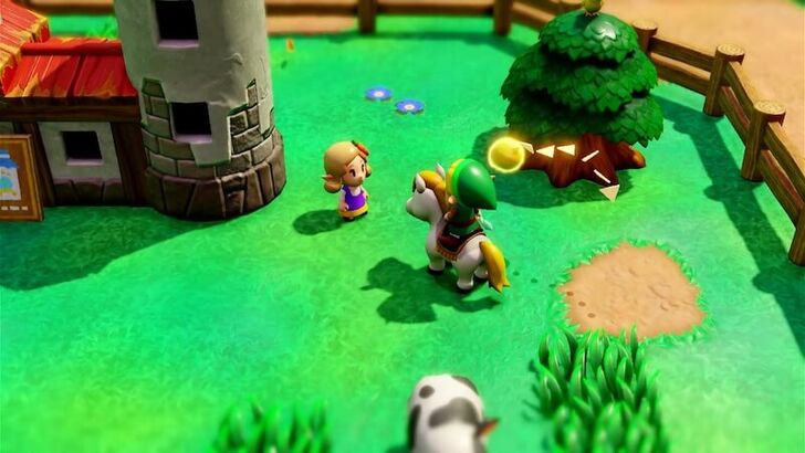 Flag Race - Woman Hyrule Ranch