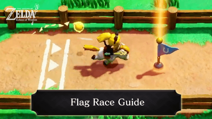 Zelda Echoes of Wisdom - Flag Race Guide
