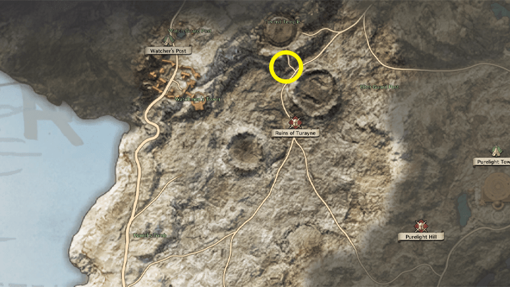 Throne and Liberty - A Zombie Survivor