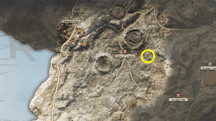 Throne and Liberty - A Zombie Survivor