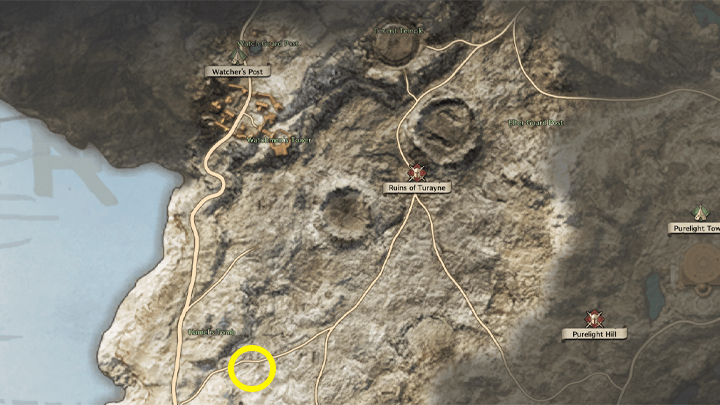 Throne and Liberty - A Zombie Survivor