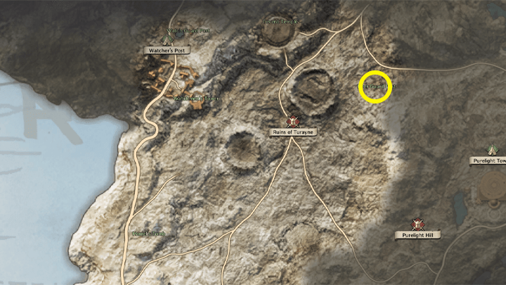 Throne and Liberty - A Zombie Survivor