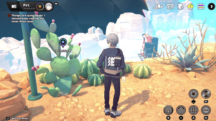 Poto Cactus Location 1