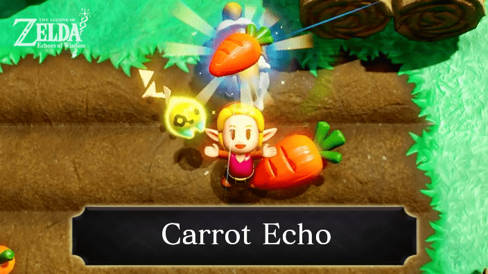 The Legend of Zelda Echoes of Wisdom (EoW) - Carrot.png