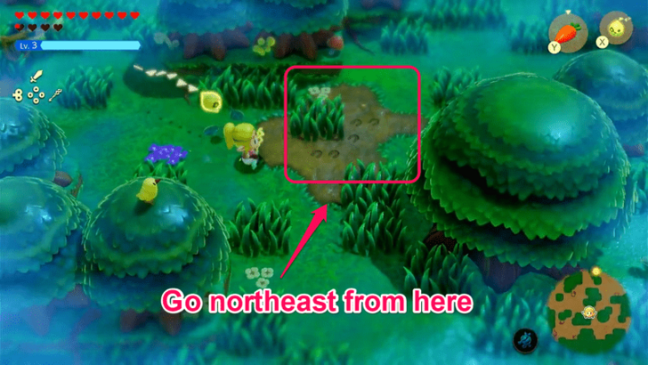 Fifth Set of Tracks, Northeast