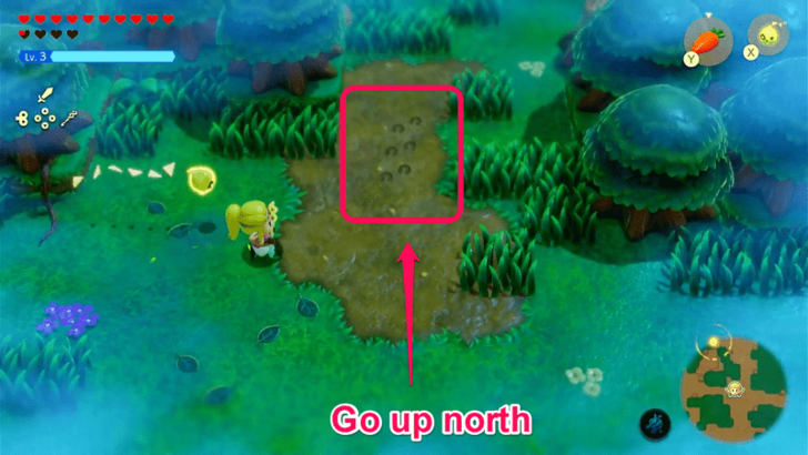 Seventh Set of Tracks, Go North