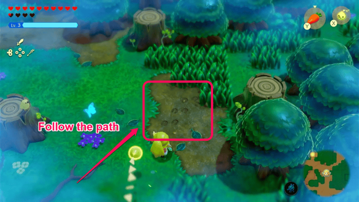 Eighth Set of Tracks, Northeast