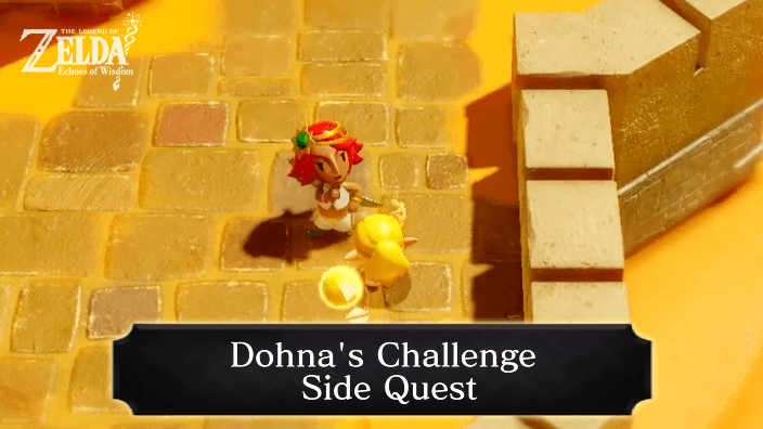 Zelda Echoes of Wisdom Dohna