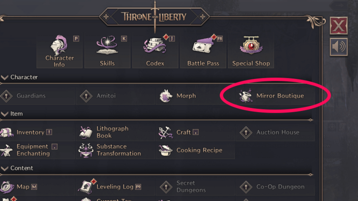 Throne and Liberty Mirror Boutique Tab