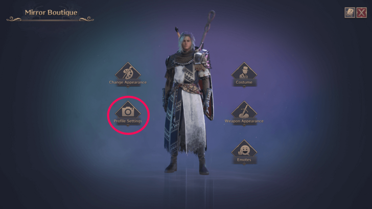 Throne and Liberty Mirror Boutique Profile Settings