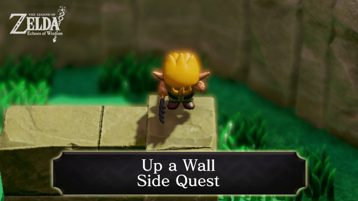 Zelda Echoes of Wisdom Up a Wall Walkthrough