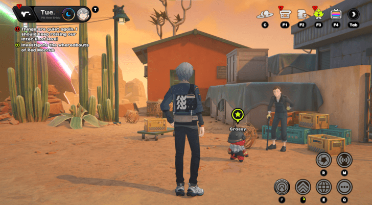 Things to Avoid When Causing Havoc - Check Up on Grassy