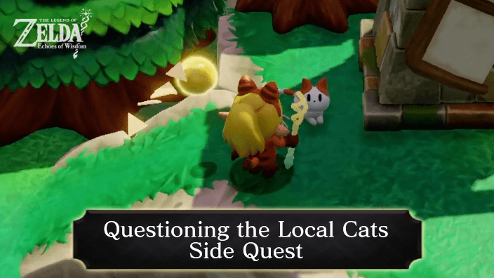 Zelda Echoes of Wisdom EoW - Questioning the Local Cats Quest