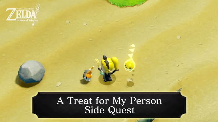 Zelda Echoes of Wisdom A Treat for My Person