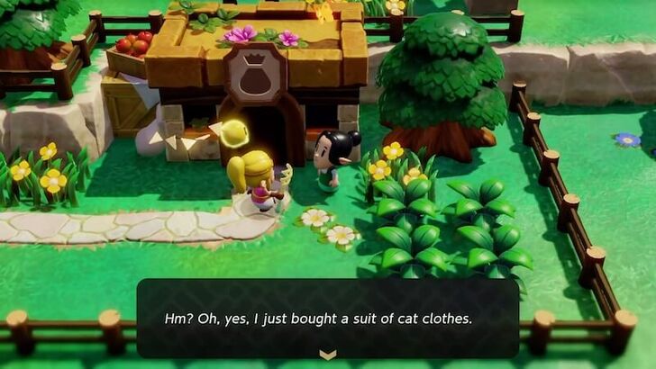 Zelda EoW - Woman Village Shop