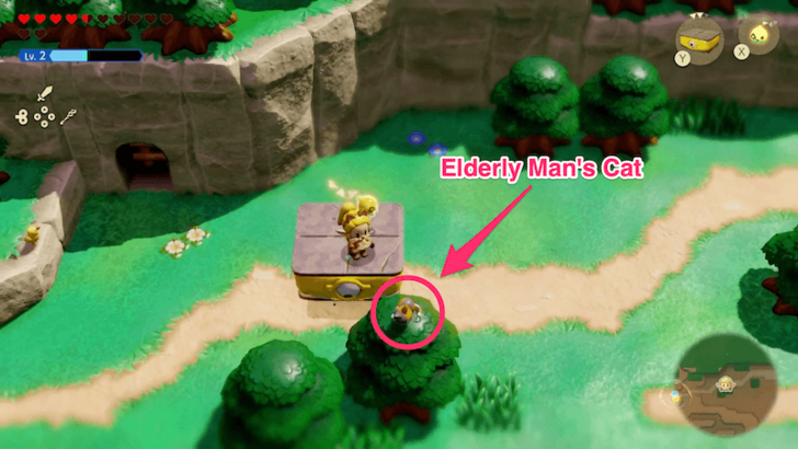 Zelda EoW - Cat Tree