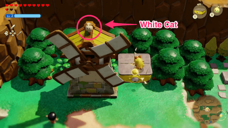 Zelda EoW - Cat Windmill