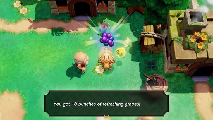 Zelda EoW - Grapes Reward