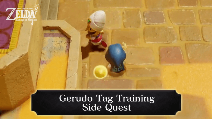 Zelda Echoes of Wisdom - Gerudo Tag Training.png