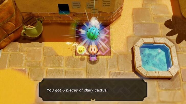 Zelda EoW - Chilly Cactus Reward