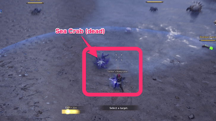 Throne and Liberty Sailor