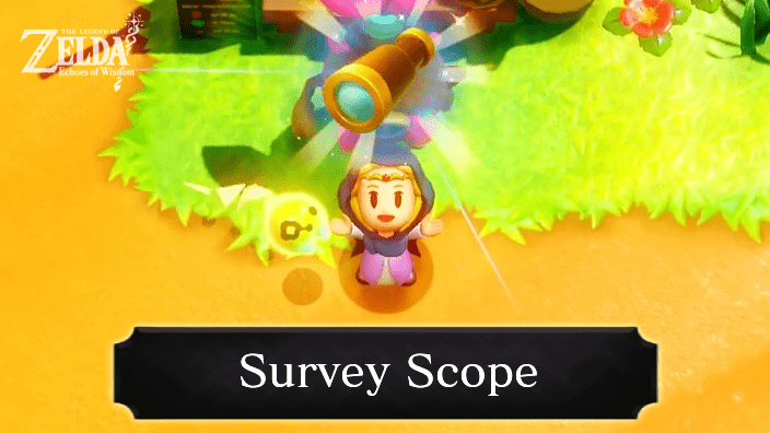 The Legend of Zelda Echoes of Wisdom (EoW) - Survey Scope