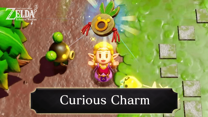 The Legend of Zelda Echoes of Wisdom (EoW) - Curious Charm
