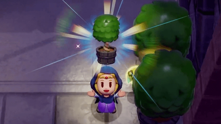 Learn the Decorative Shrub Echo