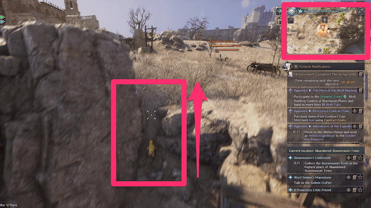 Throne and Liberty Stonemasons Confession Step 2