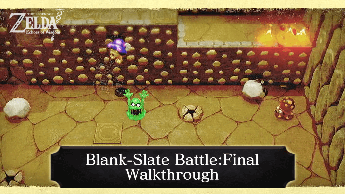 Zelda Echoes of Wisdom Blank-Slate Battle Final Walkthrough