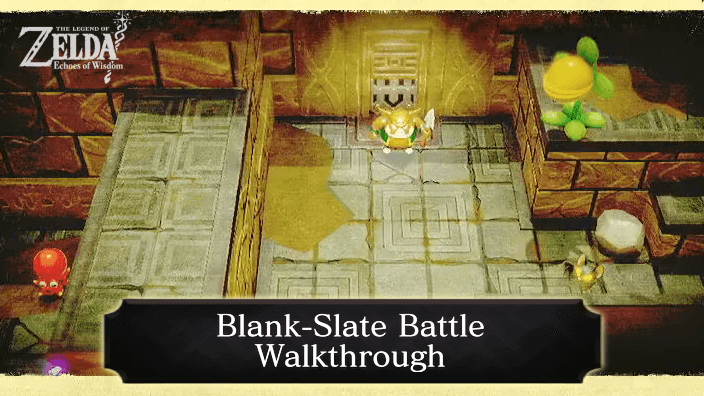 Zelda Echoes of Wisdom Blank-Slate Battle Walkthrough